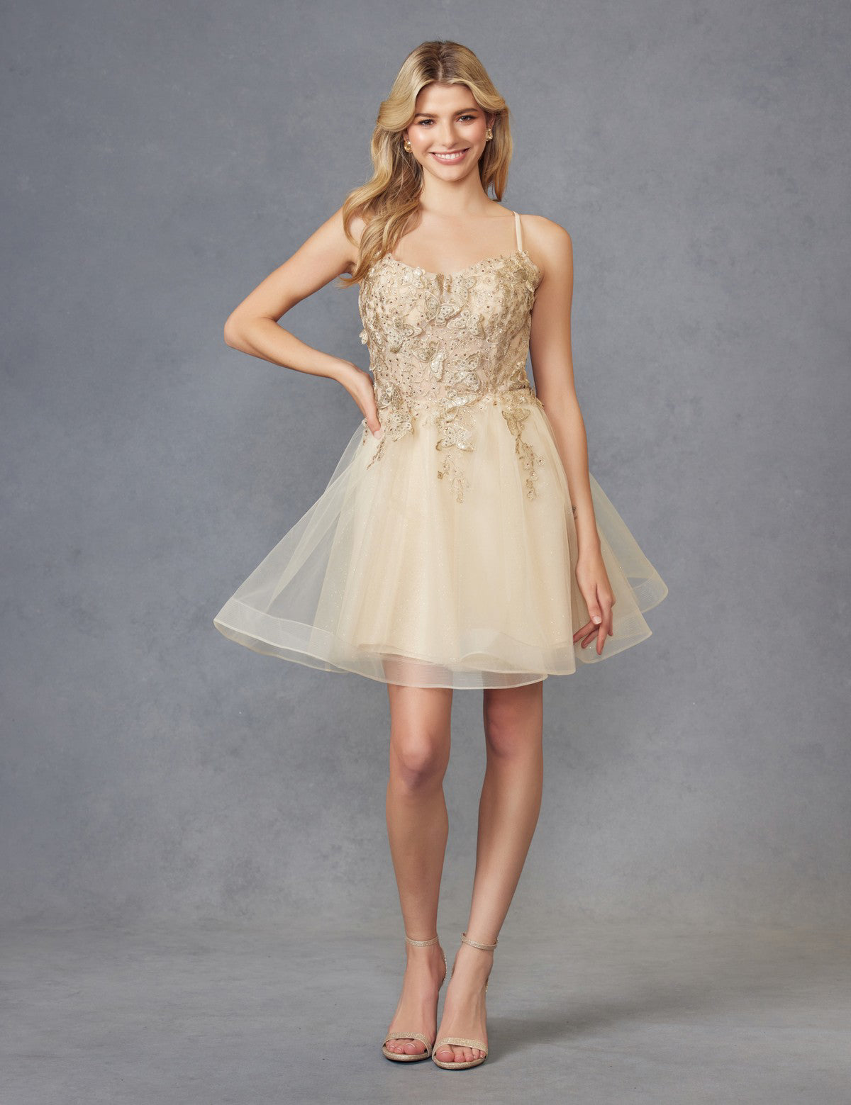 3D Butterfly appliques bodice short dress