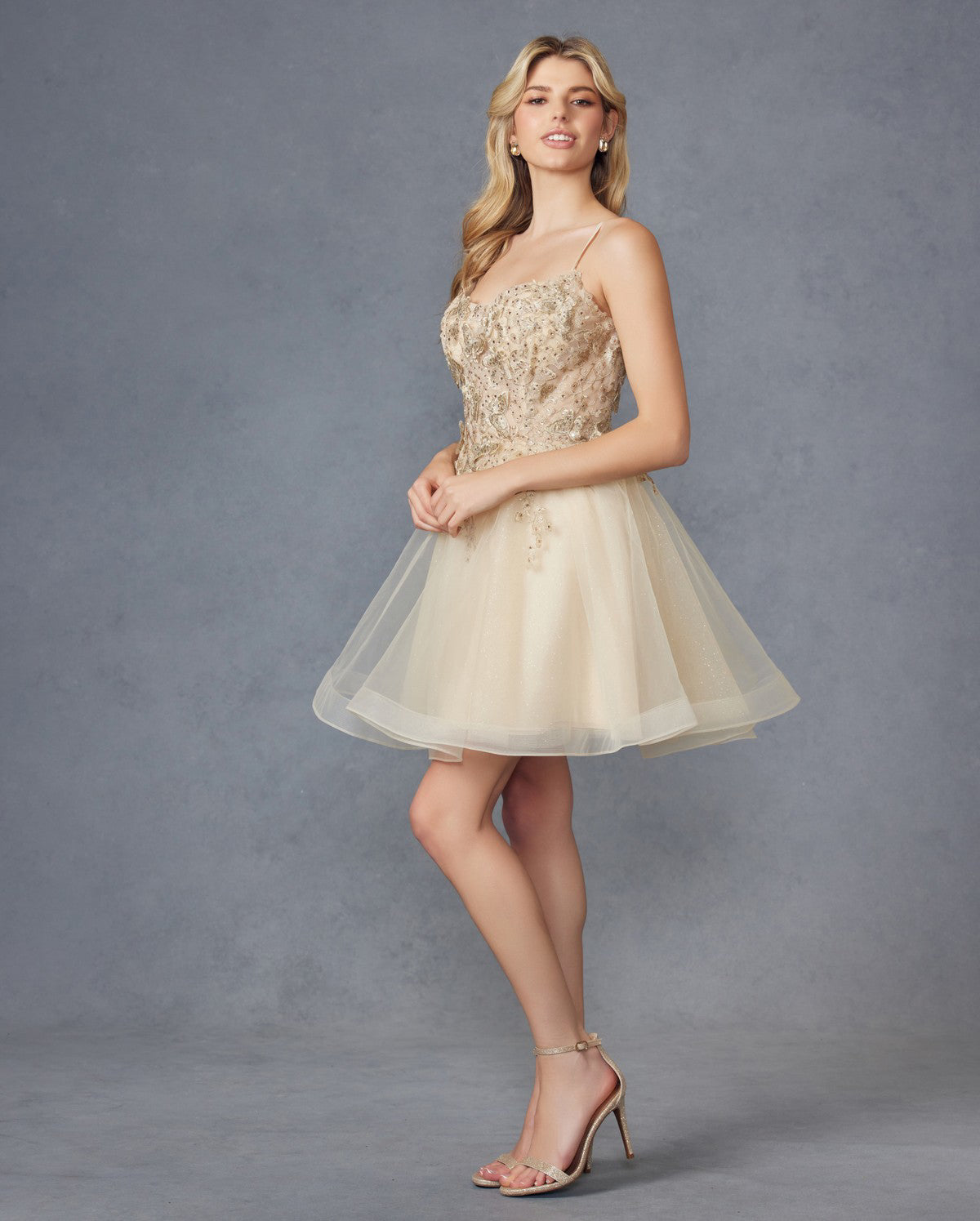 3D Butterfly appliques bodice short dress