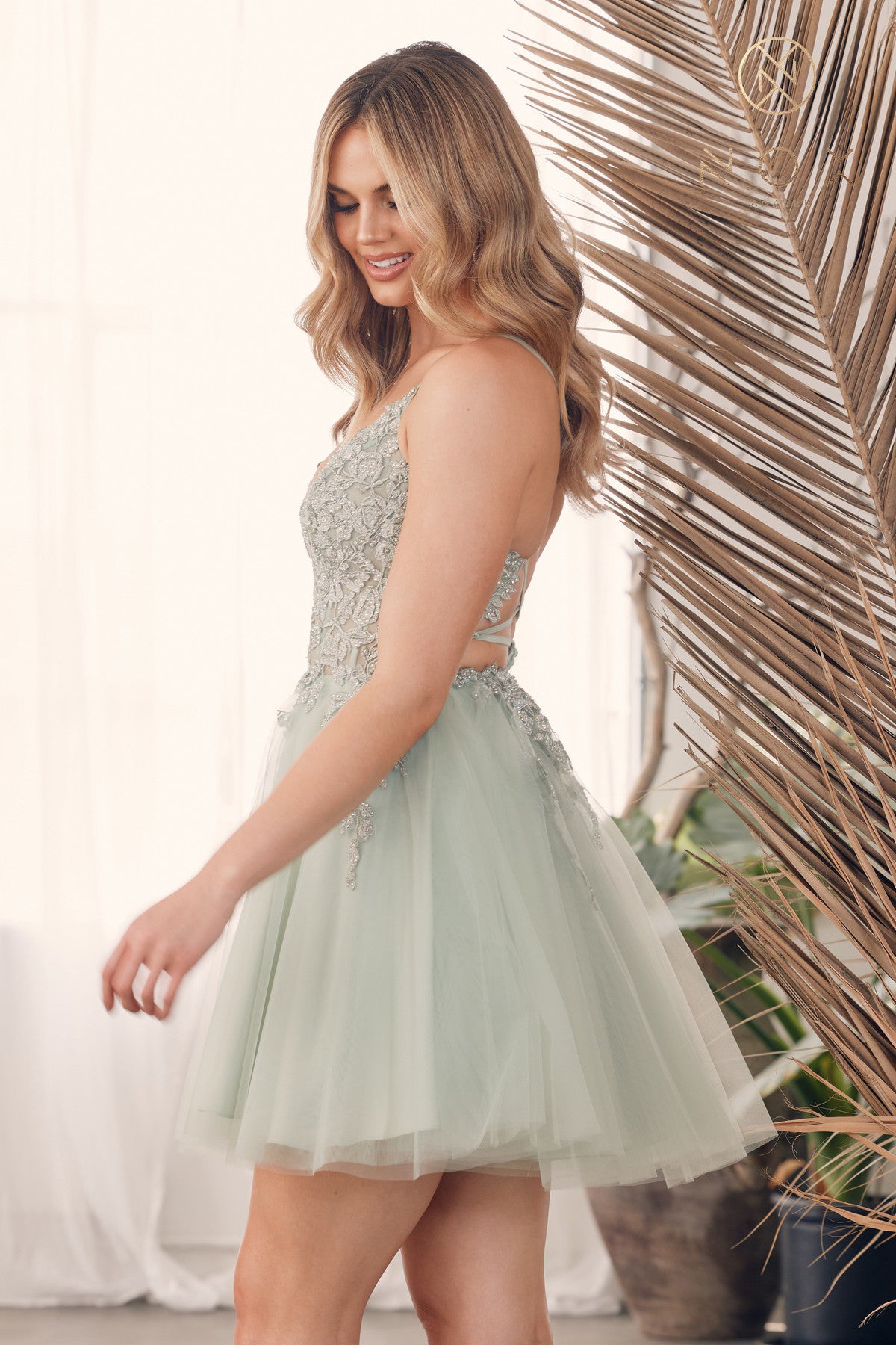 Embroidered V-Neck Tulle Short Dress