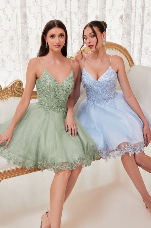 Short A-Line Lace & Tulle Dress