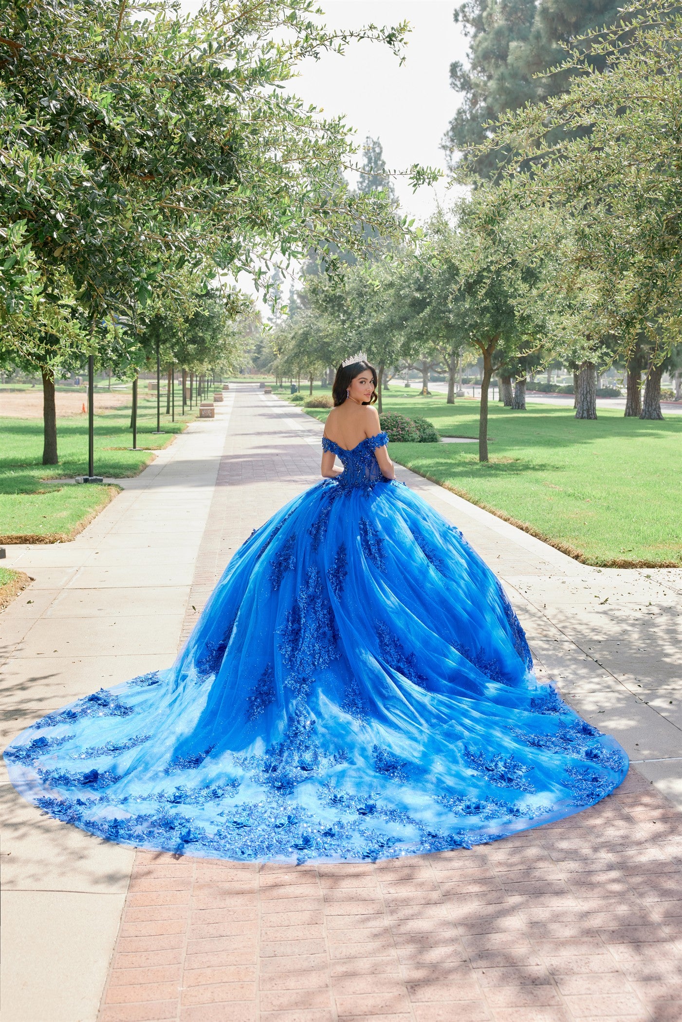 Embroidered Ball Gown With Glitter Tulle Train