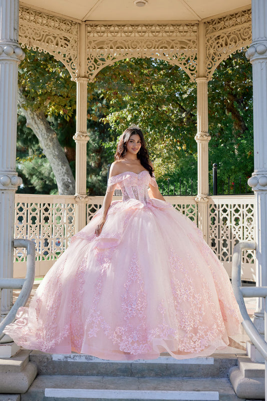 Strapless Ball Gown With Floral Lace Appliqué