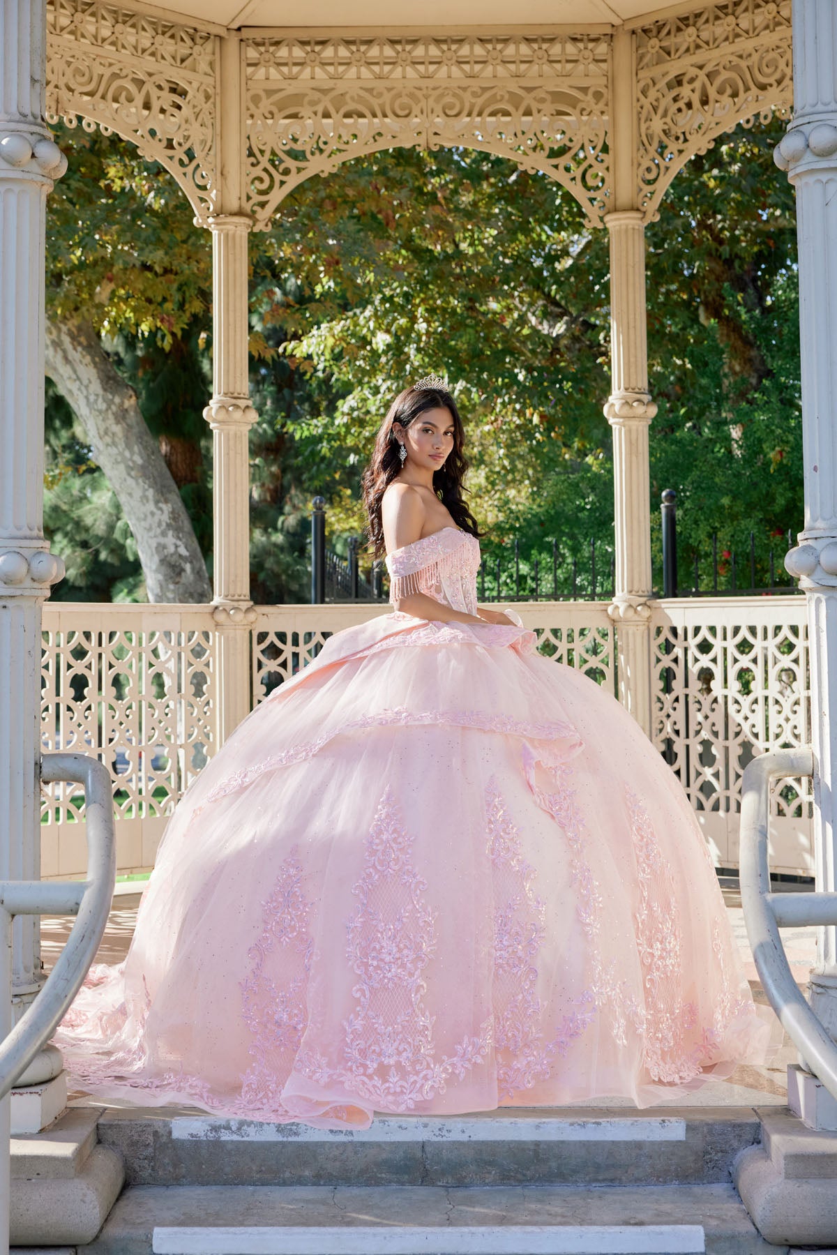 Strapless Ball Gown With Floral Lace Appliqué