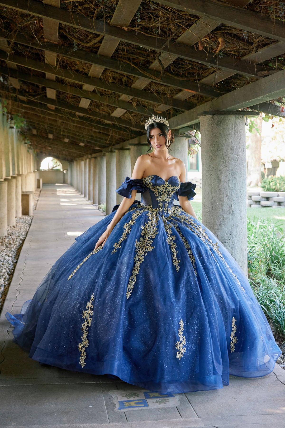 Regal Ball Gown With Gold Lace Accents
