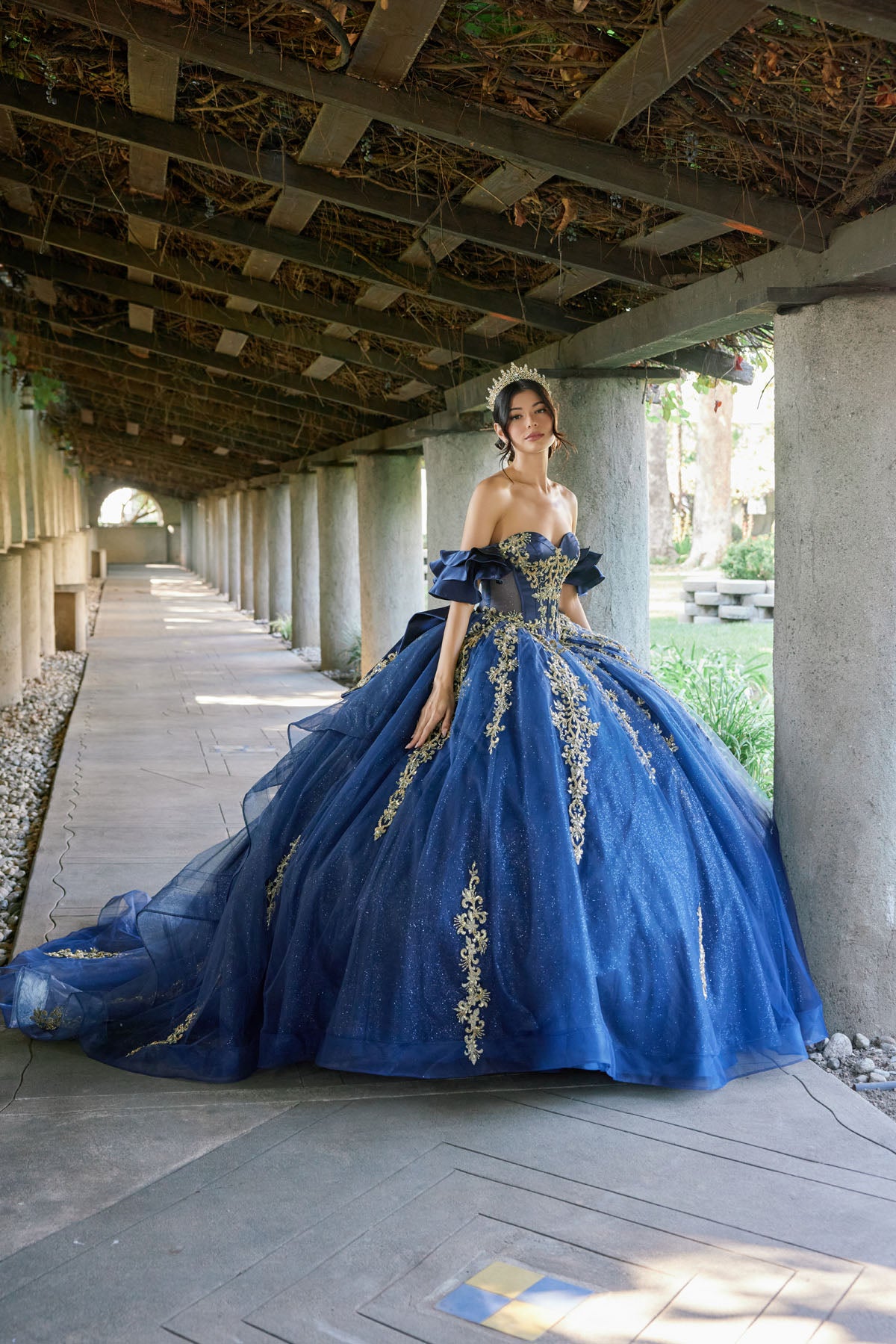 Regal Ball Gown With Gold Lace Accents