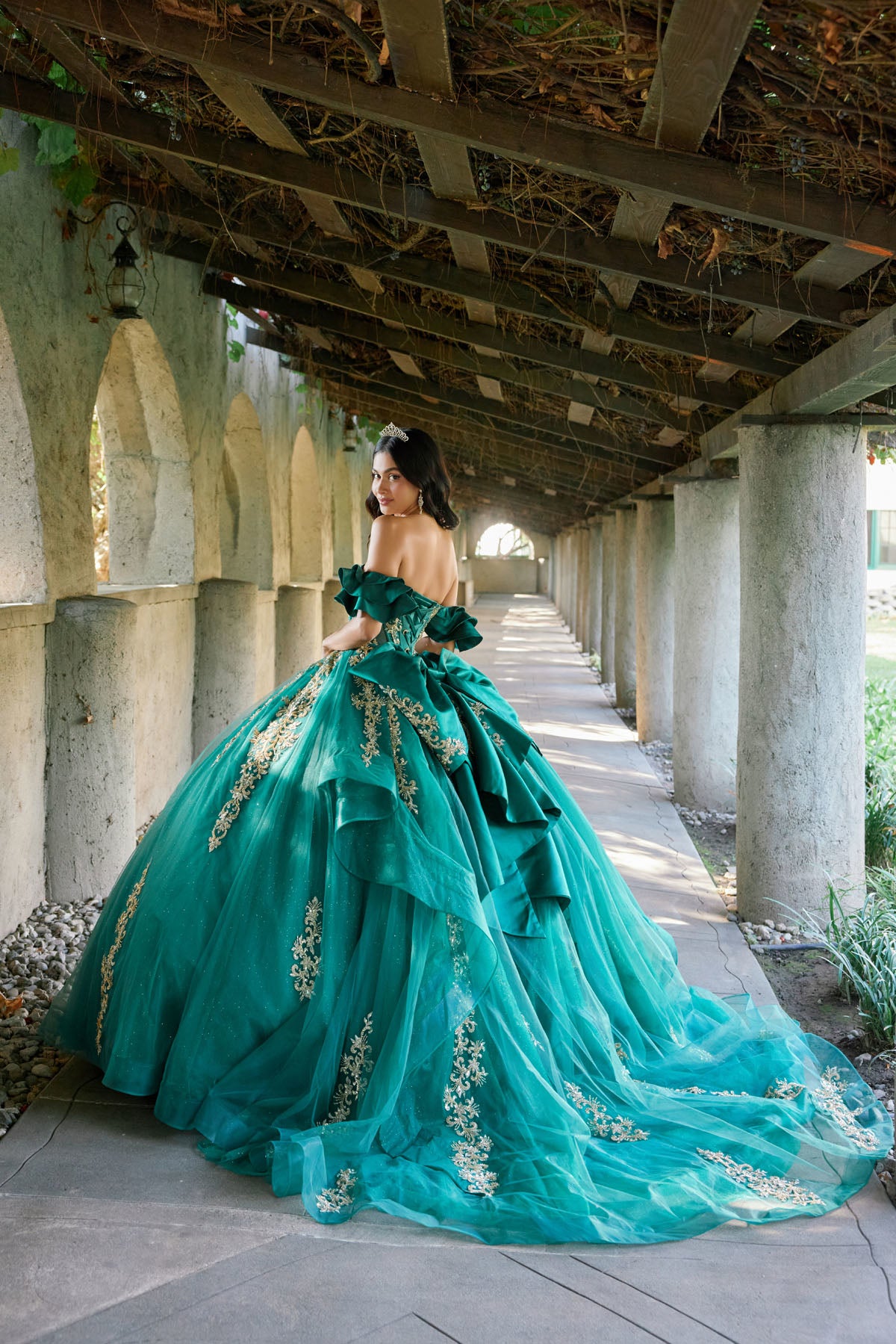 Regal Ball Gown With Gold Lace Accents
