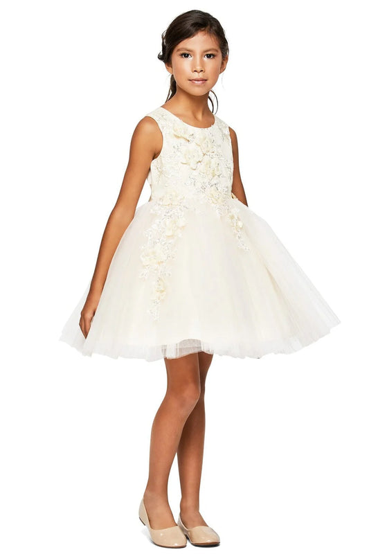 Exquisite tulle dress